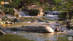 内容简介：江西南